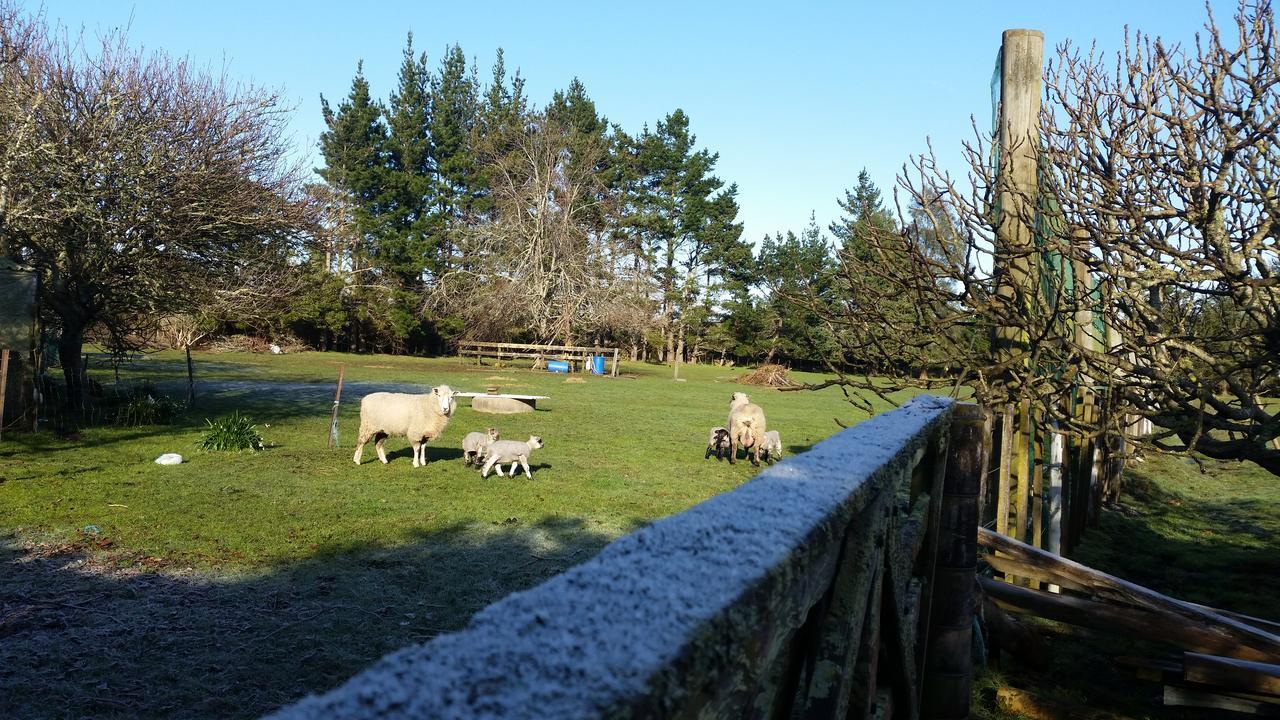 Woodbury Farm Bed and Breakfast Takanini Eksteriør billede